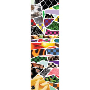 Fruity Griptape (11x35) Torn Clear
